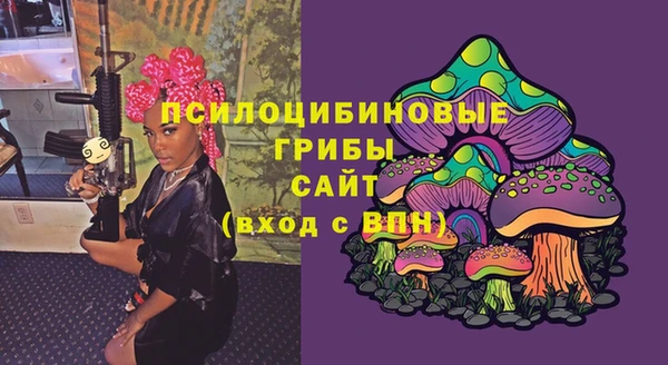 гашик Аркадак