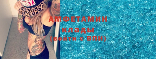 гашик Аркадак