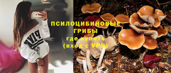 герыч Арсеньев