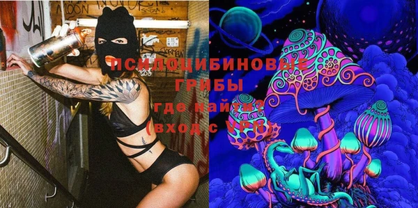 гашик Аркадак