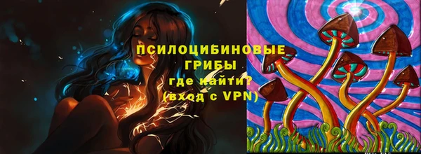 гашик Аркадак