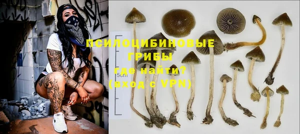 герыч Арсеньев