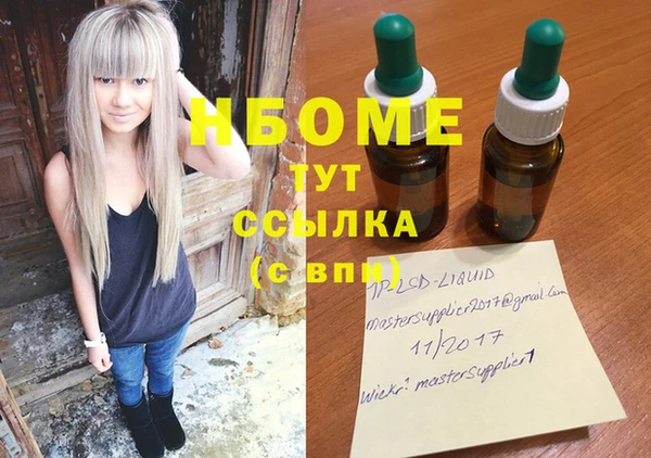 гашик Аркадак